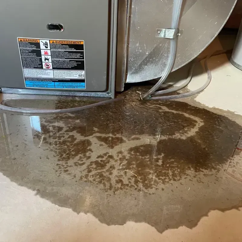 Appliance Leak Cleanup in Albany, WI